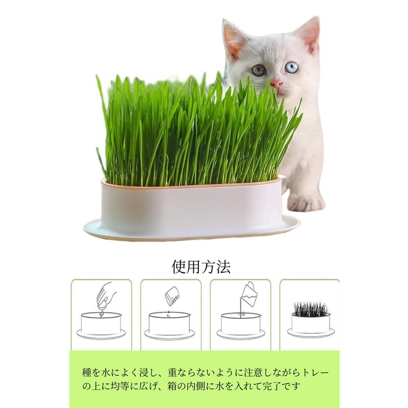 YFFSFDC Hydroponics Cat Grass Box Set of 2 Cat Grass
