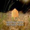 Relaxound Original Zwitscherbox Taupe