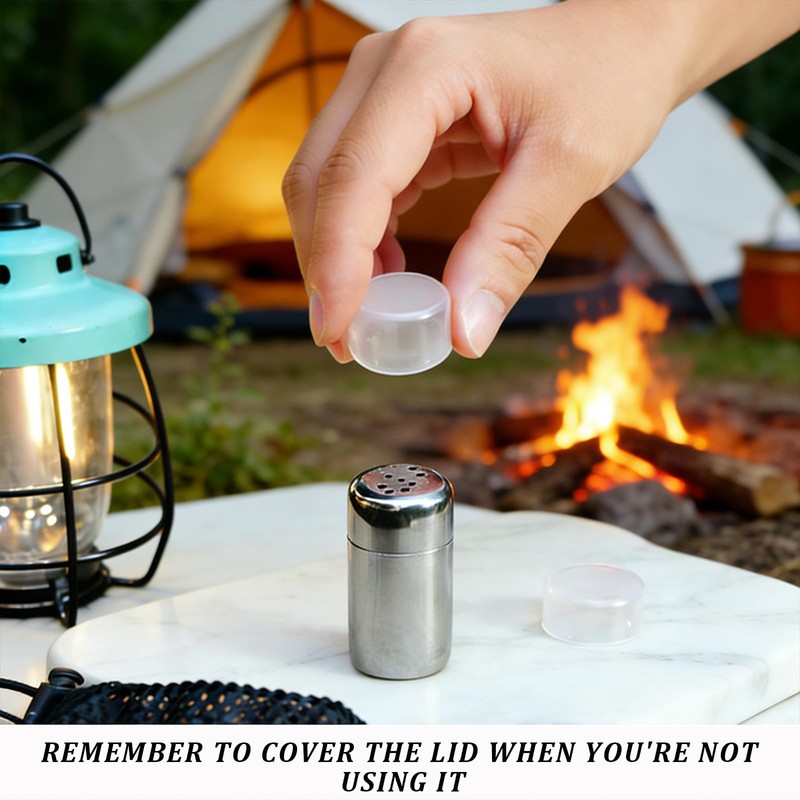 Portable Travel Salt and Pepper Sets, Stainless Steel Condiment Set