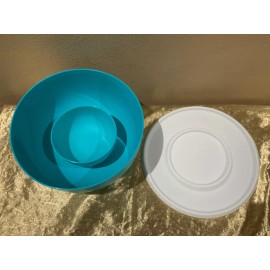 New Tupperware Beautiful Aqua Blossom Bowl Set of 2
