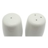 Meerkat China Salt and Pepper Shakers Cruet Set Modern White