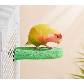 PengLAI Parrot Perch & Claw Conditioner - Grinding Teeth Chew Toy with Claw Trimming Surface for Parrots, Cockatiels & Caged Birds | Essential Cage Accessories for Beak & Nail Care(Green)