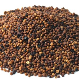 Donguihanjae 동의한재 100% 국산 세척 토사자 새삼씨 300g x 2개 Donguihanja 100% Domestic Cleaned Kwangsan Seeds 300g x 2 Packs