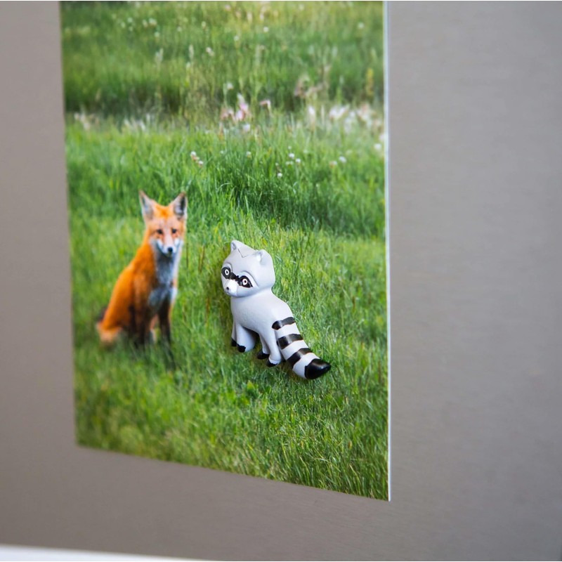 Three by Three Seattle Playful Raccoon Magnets | Adorable, Strong,