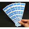 40 Removable Stickers: Argentina Flag, Argentinian Party Favors, Decals