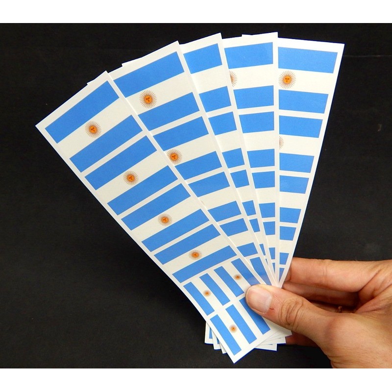 40 Removable Stickers: Argentina Flag, Argentinian Party Favors, Decals
