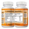 Turmeric Curcumin Joint Support msm Glucosamine Chondroitin relief 2800MG