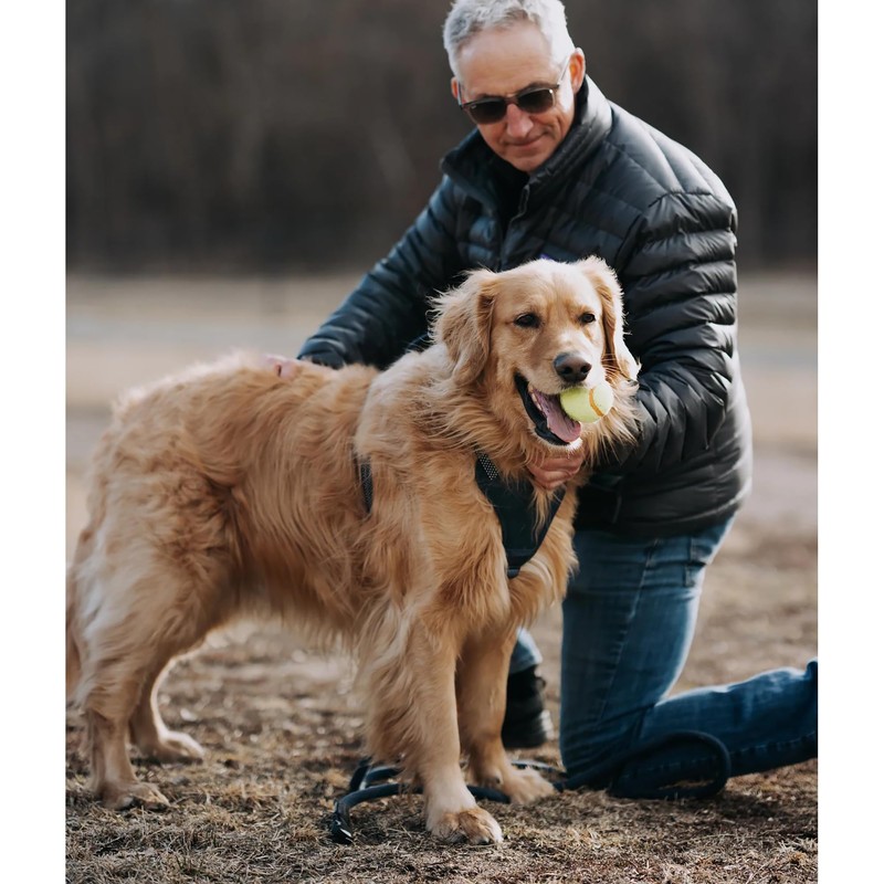 HOOZA: Magnetic Quick Clip: Control Harness - Blue, Small -