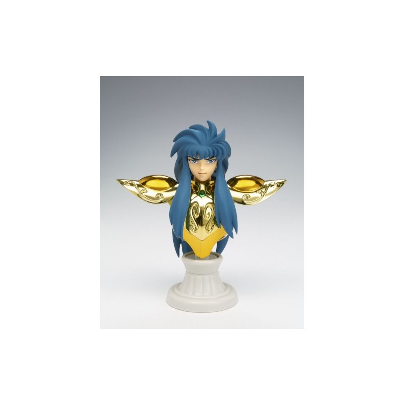 Bandai Saint Cloth Myth APPENDIX Aquarius Camus