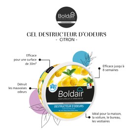 Boldair – Gel Distruggidocumenti odori Limone