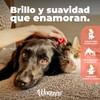 Waggys Super Aceite de Salmón Suplemento de Omega 3 para