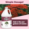 Japanese Maple Fertilizer, Complete Liquid Plant Food for All Japanese