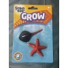 Grow MAGIC GROW CREATURE STAR FISH & MANTA TOY WATCH