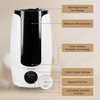 Airvana 2.25 Gallon (8.5 Liter) Top Fill Digital Humidifier with