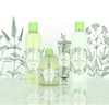 VIVIAN GRAY 1313 Hand Lotion Naturals, Green Tea, Green (30