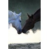 LUCFOR Horses Hoof Pick Gel Grip 2 in 1 Scraper