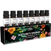 GLMIST Essential Oils Set for Diffusers for Home, Includes Eucalyptus