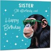 Funny Birthday Card for Sister Another Year Older Funny Cool