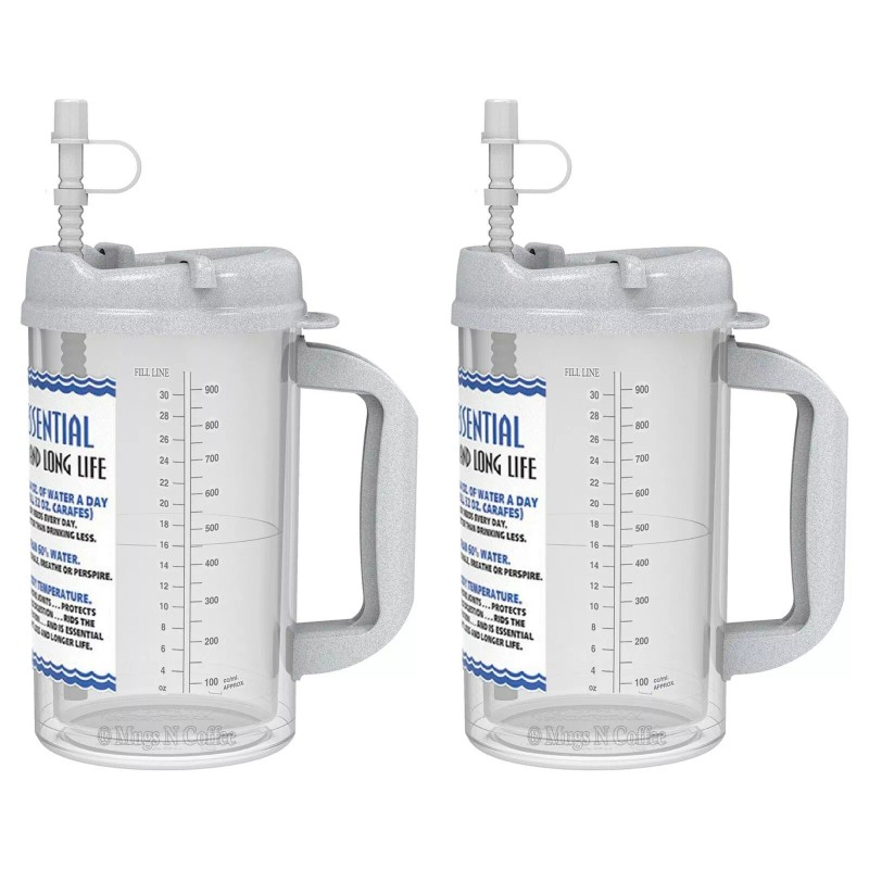 Whirley Drink Works (2) 32 oz Insulated Mugs with Straws