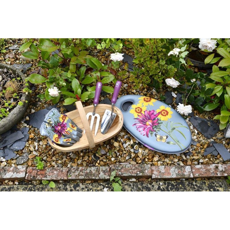 Burgon & Ball RHS Gift Herb Pots Asteraceae