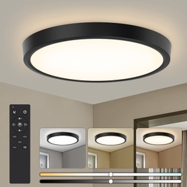 Lámparas para Recámara 30cm 24W 3000K/4000K/6500K Lámpara de Techo LED para Baño, Redonda Plafon Modernas para Cocina/Pasillo/Armario/Baño/Sala Temperatura de Color Brillo Ajustable (Negro)