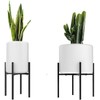 Soporte ajustable para plantas, soporte de Metal para plantas, macetas