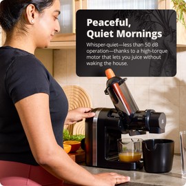 Greater Goods Cold Press Juicer, Powerful Slow Masticating Juice Extractor with Quiet Motor for Fruits and Vegetables, High Juice Yield, Easy to Clean, Onyx Black