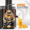 800W Electric Juicer Fruit Vegetable Blender Juice Extractor Citrus Machine
