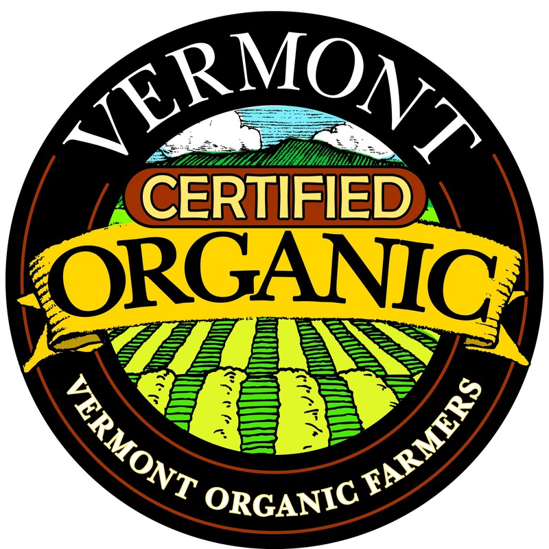 Organic 1 Gallon Amber Rich Vermont Maple Syrup - Grade