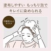 Beautylabo Hoyu Beauty Lab Whip Hair Color, Agent 1: 1.4