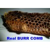 Freshly Dried Real USA Honeybee Natural Honeycomb + 12 Free