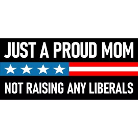 Proud Mom Not Raising Liberals Sticker Large 4x9 Just a Regular Mom Sticker
