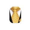 HISDERN Yellow Ties for Men Polka Dot Wedding Tie Handkerchief