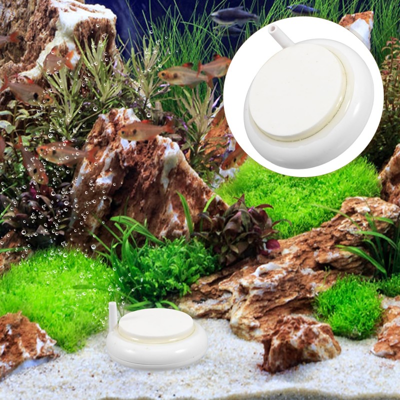 GRIRIW Aquarium Disc for Betta Fish Tank Oxygen Air Stone