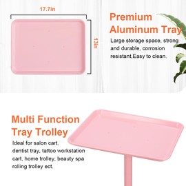 FLOLXNB Salon Tray, Rolling Hair Color Tray, Premium Aluminum Beauty SPA Tray Cart, Hairstylist Tattoo Tray, Height Adjustable Salon Service Tray, Pink Rolling Tray