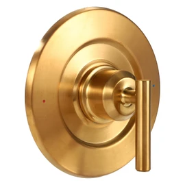 BOXOB Replacement for Moen T2901 Gibson Posi-Temp Shower Trim Kit, Shower Valve Trim Kit Durable Metal Construction Modern Bathroom Upgrade (Gold)