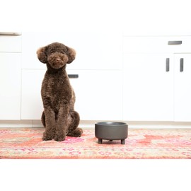 Waggo Uplift Ceramic Dog Bowl for Small Medium and Large Breeds - Heavyweight and Durable Pet Food and Water Dish Crock, Dishwasher Safe, Modern, Elevated Feeder (White, Small)