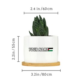 DecStic Custom Your Name with Palestinian Flag Ceramic Planters Festival Flags Snake Plant Live Indoor with Pot with Drainage Holes and Saucers Pot for Outdoor Garden Home Plant