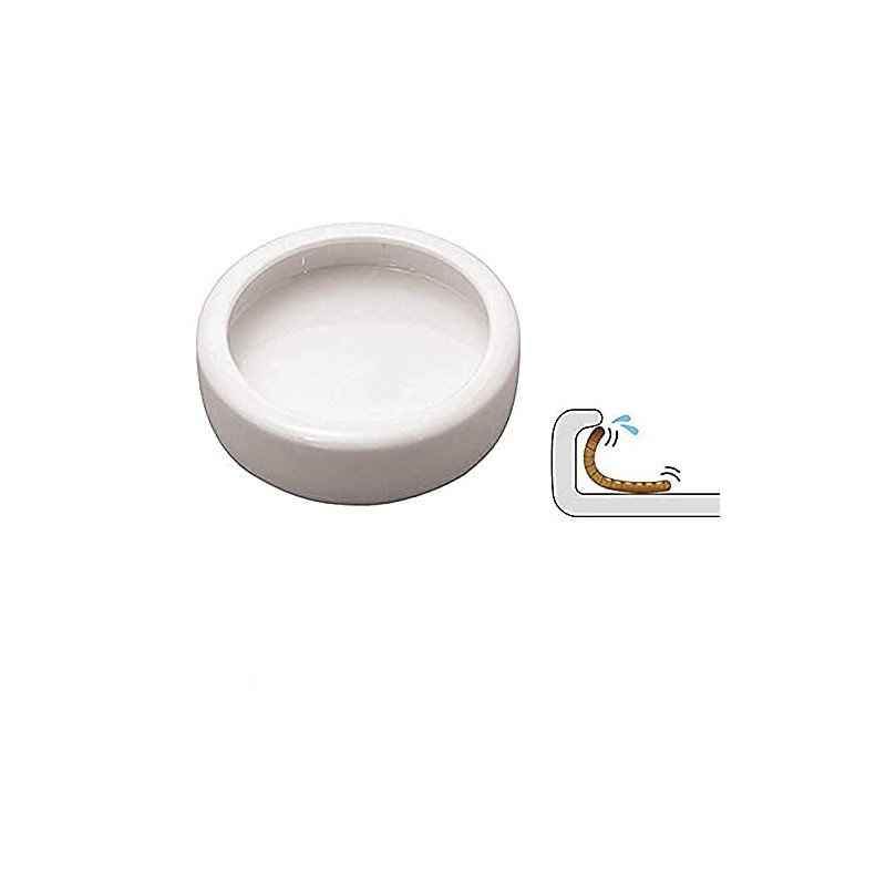 RunXF Reptiles Bowl Ceramics Dish 3.9 x 1 inch Round