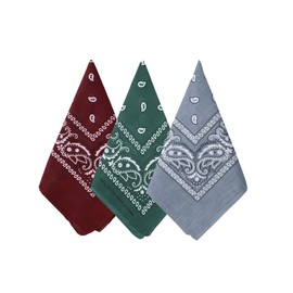 Bycc Bynn 3 Pack Pure Cotton Paisley Pattern Bandanas Square Scarf Headwear (Burgundy + Dark Green + Light Grey)