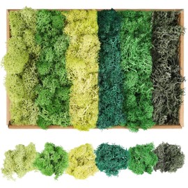 XIEJ Moss - Moss for Plants in 6 Colours, 240g Preserved Moss, Real Durable Natural Decorative Moss for Moss Picture Crafting/Decoration and Model Making Easter Decoration