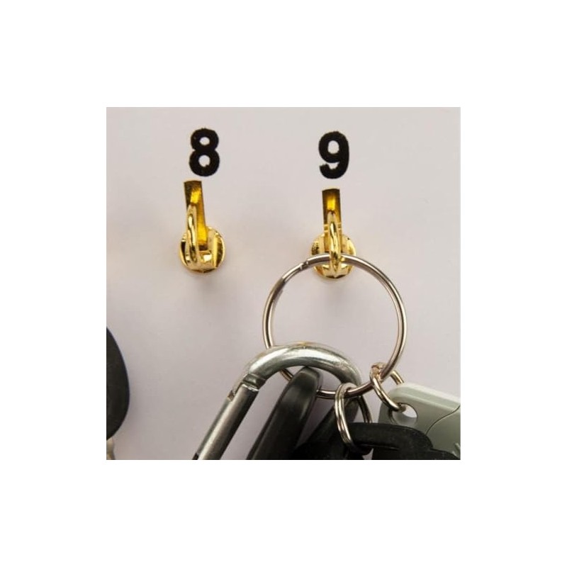 CGP Products 38 Hook Key Holder Wall Mount for Office,