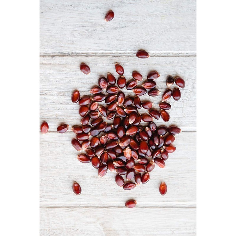 Amish Country Popcorn | 6 lbs Bag | Red Popcorn
