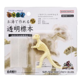 Sunstar Stationery 8059001C Oyumaru Transparent Specimen Made with Hot Water, Dino Earth Pakycephalosaurus