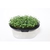 Green Field Project Home Veggie (No Seeds) Black B054