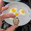 NWQUAILFARM Fresh & Tasty Organic Non-GMO Jumbo Quail Eggs (Two
