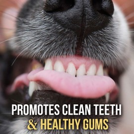 Bullysticks Organic Standard 4" Bully Sticks for Dogs - All Natural Dog Treat, These Chews are Free Range Bully Sticks, USDA Approved (15 Pack)