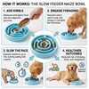 Eco-Friendly Non-Slip Slow Feeder Dog Bowl