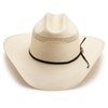 Resistol Men's Ustrc Big Money Hat, Natural, 7 1/2