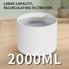 Modern Small Plastic Automatic Pet Water Dispenser with 2L Capacity
